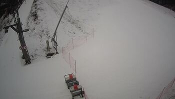 Ведмежа 19 січня 2024 року, 2024-01-19 10:00