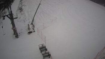 Ведмежа 19 січня 2024 року, 2024-01-19 13:00
