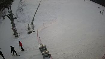 Ведмежа 21 січня 2024 року, 2024-01-21 16:00