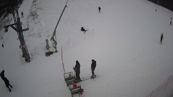 Ведмежа 23 січня 2024 року, 2024-01-23 13:00