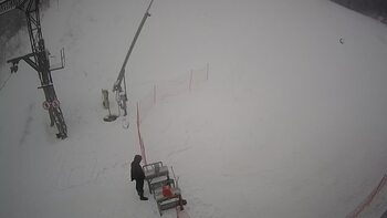 Ведмежа 25 січня 2024 року, 2024-01-25 13:00