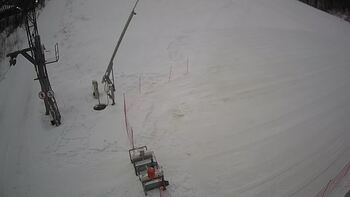 Ведмежа 26 січня 2024 року, 2024-01-26 10:00