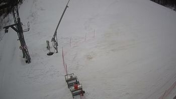 Ведмежа 26 січня 2024 року, 2024-01-26 13:00