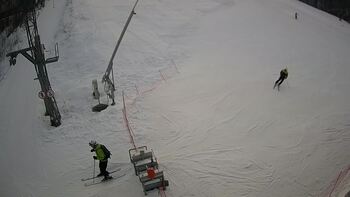 Ведмежа 31 січня 2024 року, 2024-01-31 16:00