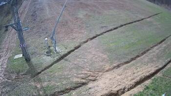 Ведмежа 30 березня 2024 року, 2024-03-30 13:00