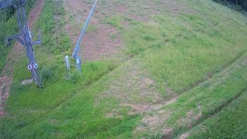 Ведмежа 2 червня 2024 року, 2024-06-02 13:00