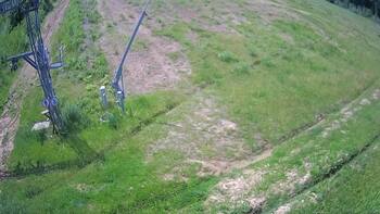 Ведмежа 6 червня 2024 року, 2024-06-06 13:00