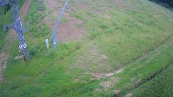 Ведмежа 9 червня 2024 року, 2024-06-09 13:00