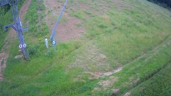 Ведмежа 9 червня 2024 року, 2024-06-09 16:00