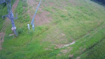 Ведмежа 10 червня 2024 року, 2024-06-10 13:00