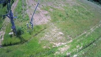 Ведмежа 20 червня 2024 року, 2024-06-20 13:00