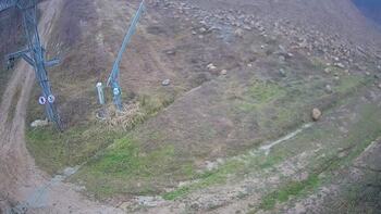 Ведмежа 3 грудня 2024 року, 2024-12-03 13:00