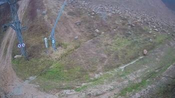 Ведмежа 6 грудня 2024 року, 2024-12-06 16:00