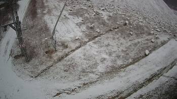 Ведмежа 15 грудня 2024 року, 2024-12-15 10:00