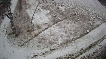 Ведмежа 15 грудня 2024 року, 2024-12-15 13:00