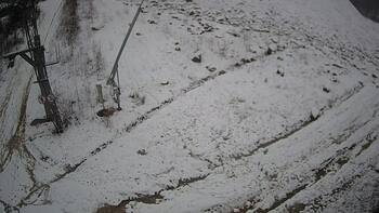 Ведмежа 16 грудня 2024 року, 2024-12-16 16:00