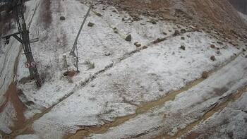 Ведмежа 10 січня 2025 року, 2025-01-10 13:00