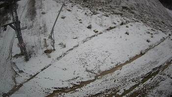 Ведмежа 11 січня 2025 року, 2025-01-11 10:00