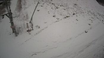 Ведмежа 12 січня 2025 року, 2025-01-12 10:00