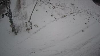 Ведмежа 12 січня 2025 року, 2025-01-12 13:00