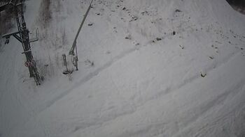 Ведмежа 13 січня 2025 року, 2025-01-13 10:00