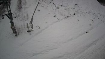 Ведмежа 13 січня 2025 року, 2025-01-13 16:00