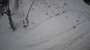 Ведмежа 14 січня 2025 року, 2025-01-14 16:00