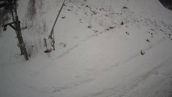 Ведмежа 15 січня 2025 року, 2025-01-15 10:00
