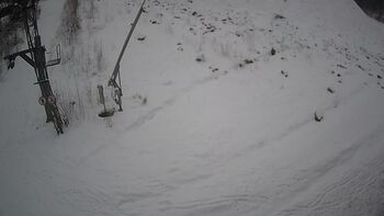 Ведмежа 15 січня 2025 року, 2025-01-15 16:00