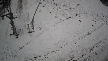 Ведмежа 18 січня 2025 року, 2025-01-18 13:00