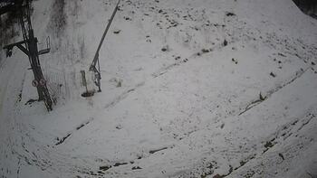 Ведмежа 18 січня 2025 року, 2025-01-18 16:00