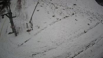 Ведмежа 22 січня 2025 року, 2025-01-22 16:00