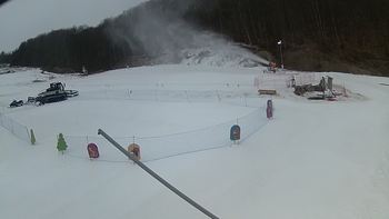 Ведмежа 27 лютого 2018 року, 2018-02-27 10:00