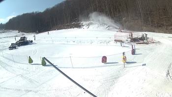Ведмежа 1 березня 2018 року, 2018-03-01 13:00
