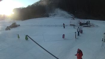 Ведмежа 1 березня 2018 року, 2018-03-01 16:00