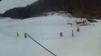 Ведмежа 2 березня 2018 року, 2018-03-02 10:00