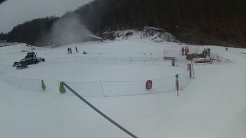Ведмежа 2 березня 2018 року, 2018-03-02 13:00