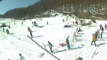 Ведмежа 4 березня 2018 року, 2018-03-04 13:00