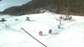 Ведмежа 5 березня 2018 року, 2018-03-05 13:00