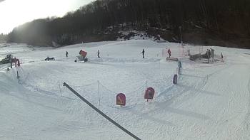Ведмежа 5 березня 2018 року, 2018-03-05 16:00