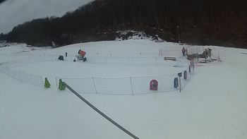Ведмежа 6 березня 2018 року, 2018-03-06 13:00