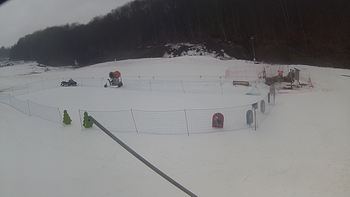 Ведмежа 6 березня 2018 року, 2018-03-06 16:00