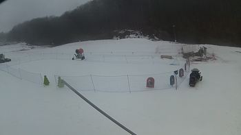 Ведмежа 7 березня 2018 року, 2018-03-07 10:00