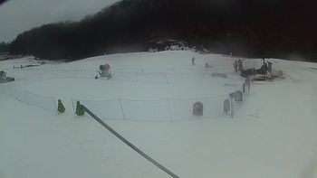 Ведмежа 7 березня 2018 року, 2018-03-07 13:00
