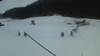 Ведмежа 7 березня 2018 року, 2018-03-07 16:00