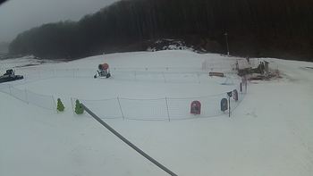 Ведмежа 8 березня 2018 року, 2018-03-08 10:00