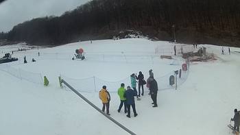 Ведмежа 8 березня 2018 року, 2018-03-08 13:00
