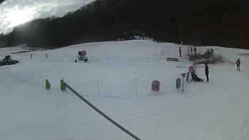 Ведмежа 8 березня 2018 року, 2018-03-08 16:00