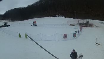Ведмежа 9 березня 2018 року, 2018-03-09 13:00