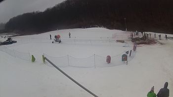 Ведмежа 10 березня 2018 року, 2018-03-10 13:00